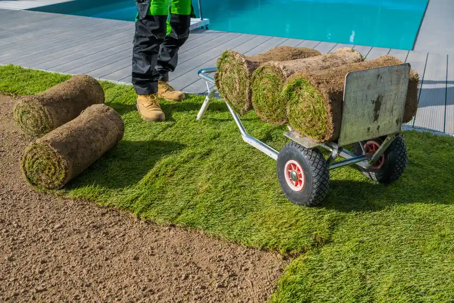 How Sod Installation Enhances Your Lawns Curb Appeal Jefferson City MO How Sod Installation Enhances Your Lawns Curb Appeal Jefferson City MO