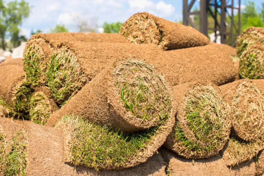 How Sod Installation Enhances Your Lawns Curb Appeal in Jefferson City MO How Sod Installation Enhances Your Lawns Curb Appeal in Jefferson City MO