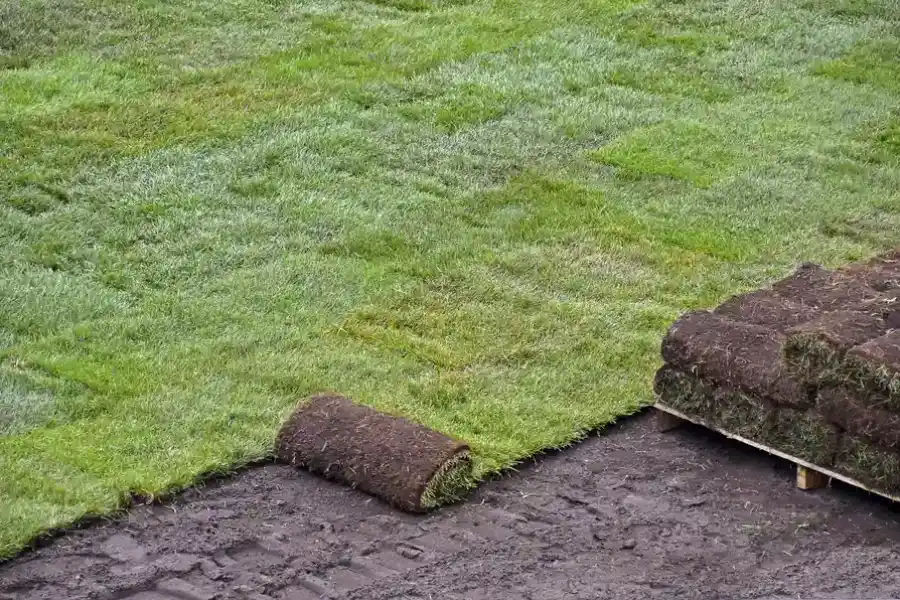 Why Professional Sod Installation Saves Time And Money in Jefferson City MO
